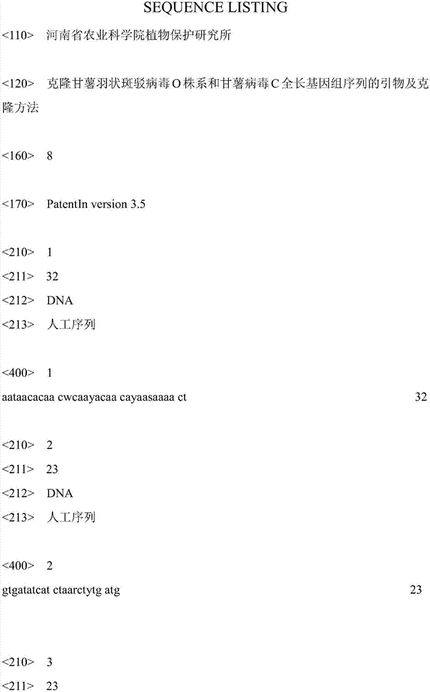 The primers and cloning method for cloning the full-length genome sequence of sweet potato feather mottle virus o strain and sweet potato virus c