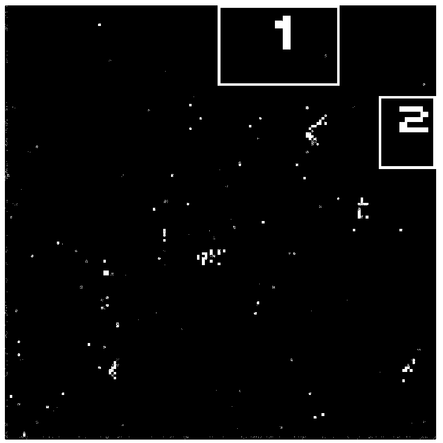 SAR image noise reduction method based on shear wave coefficient processing