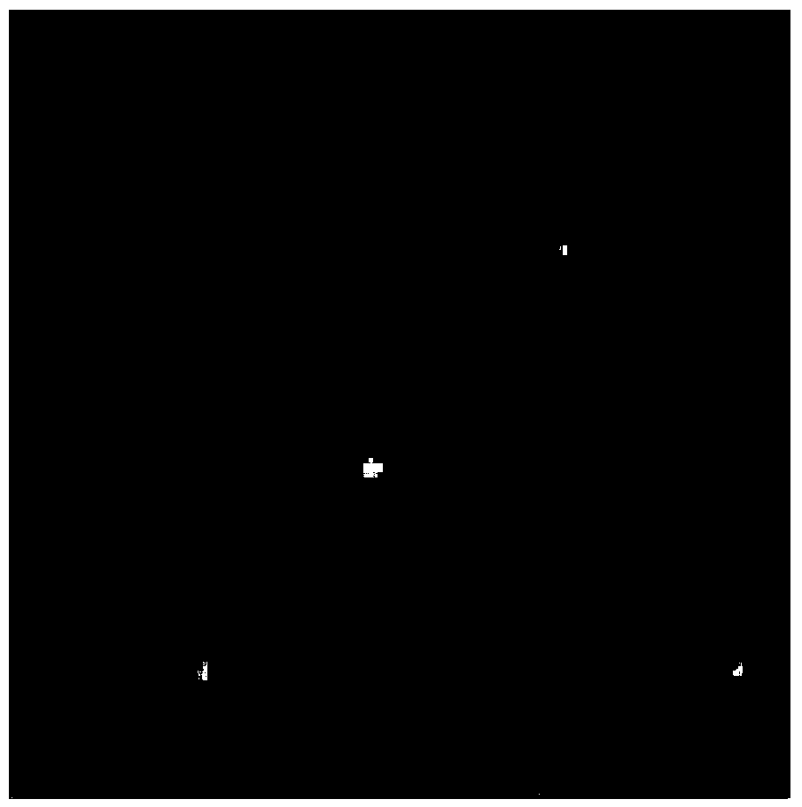 SAR image noise reduction method based on shear wave coefficient processing