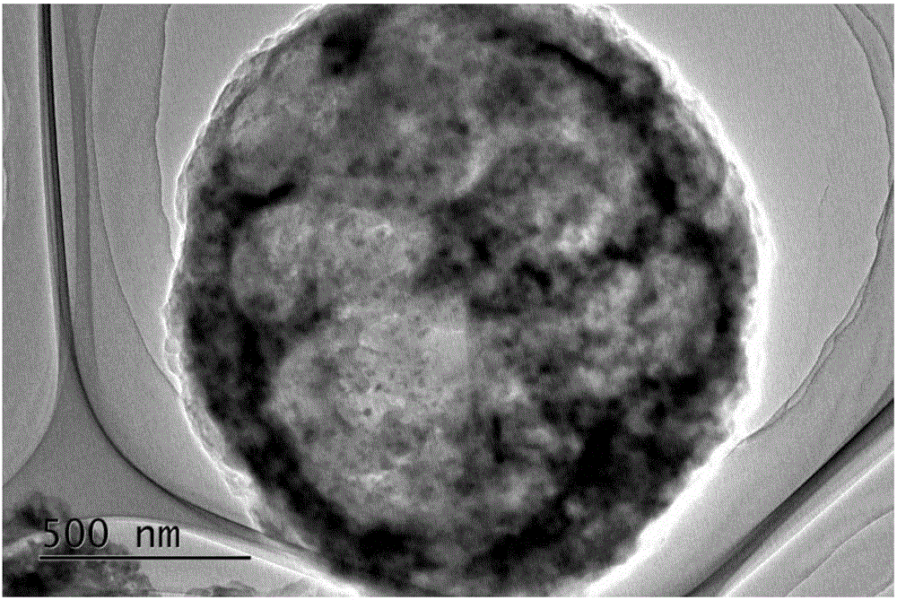 Positive electrode material of lithium sulfur battery, preparation method of positive electrode material and lithium sulfur battery containing positive electrode material