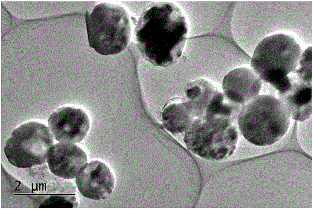 Positive electrode material of lithium sulfur battery, preparation method of positive electrode material and lithium sulfur battery containing positive electrode material