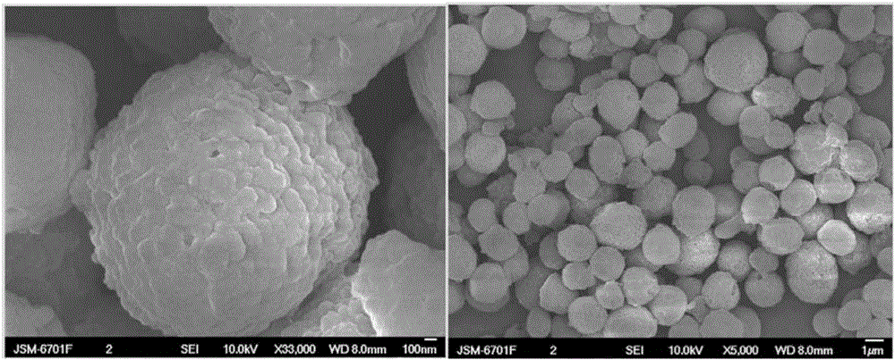 Positive electrode material of lithium sulfur battery, preparation method of positive electrode material and lithium sulfur battery containing positive electrode material