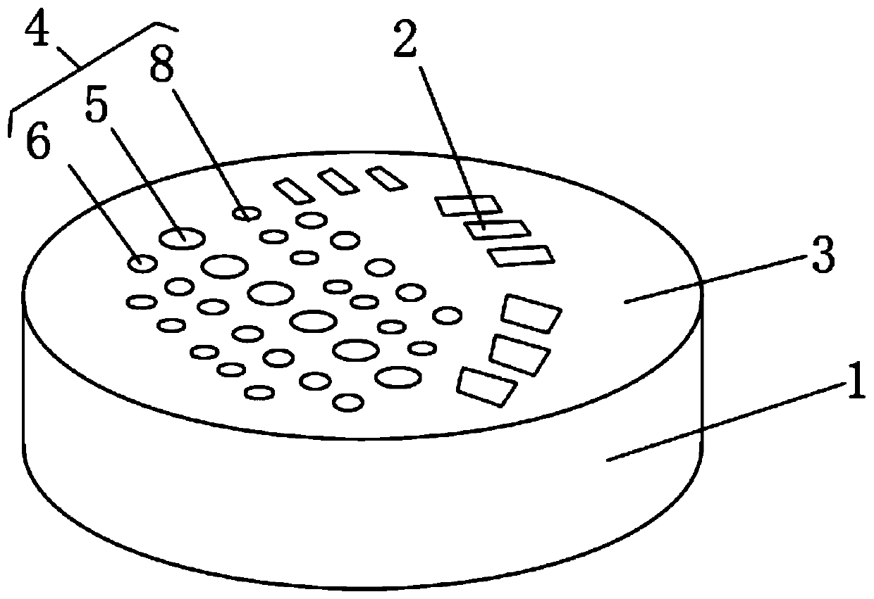 Flexible die body suitable for performance evaluation of magnetic resonance and CT imaging equipment