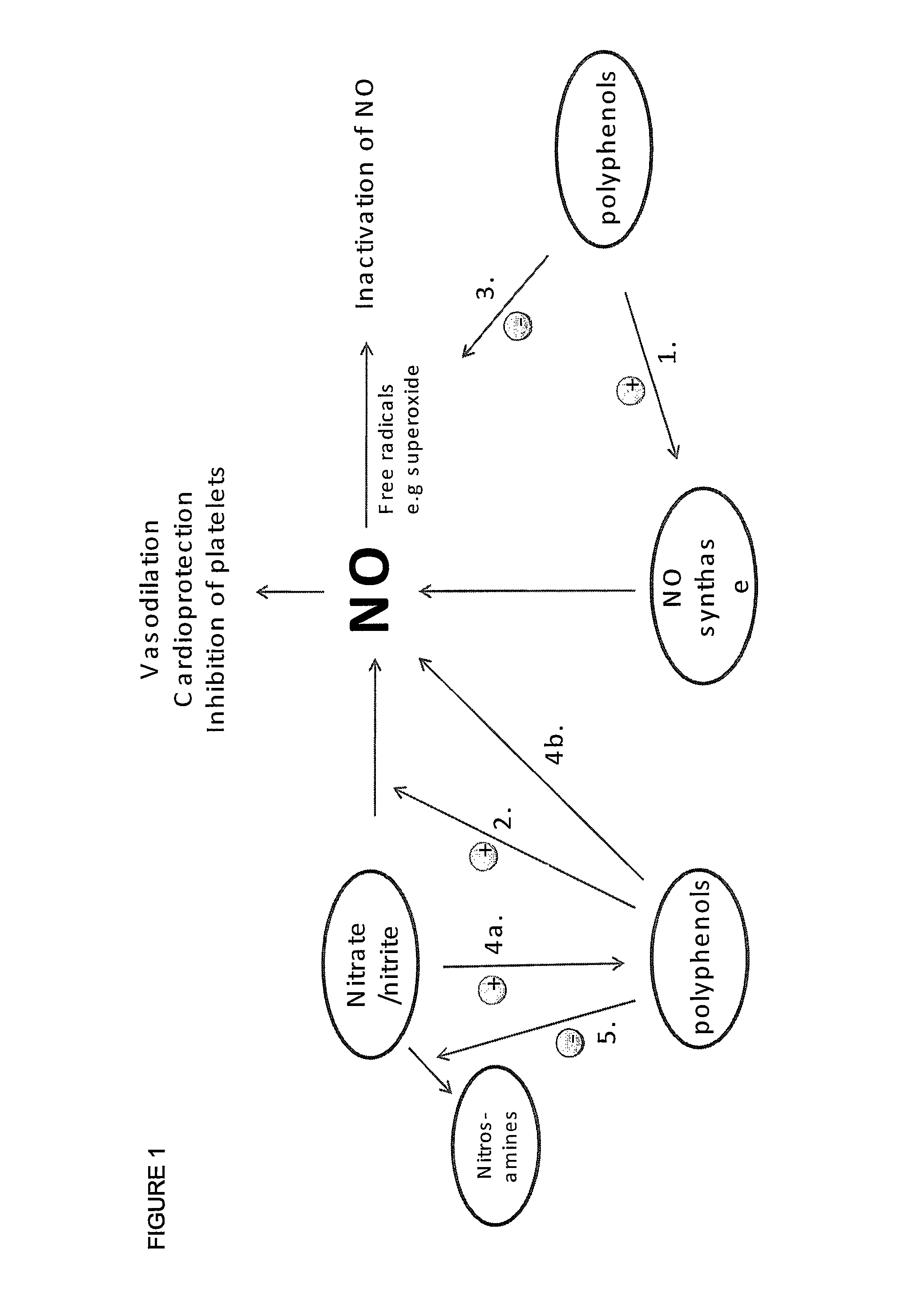 Performance enhancing composition and use thereof