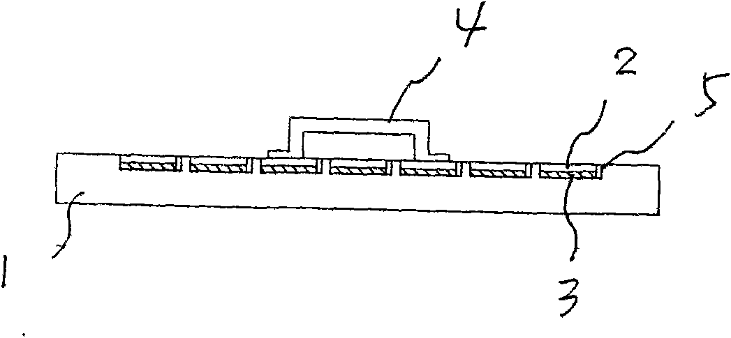 High-density array type cell growth cover glass experimental device