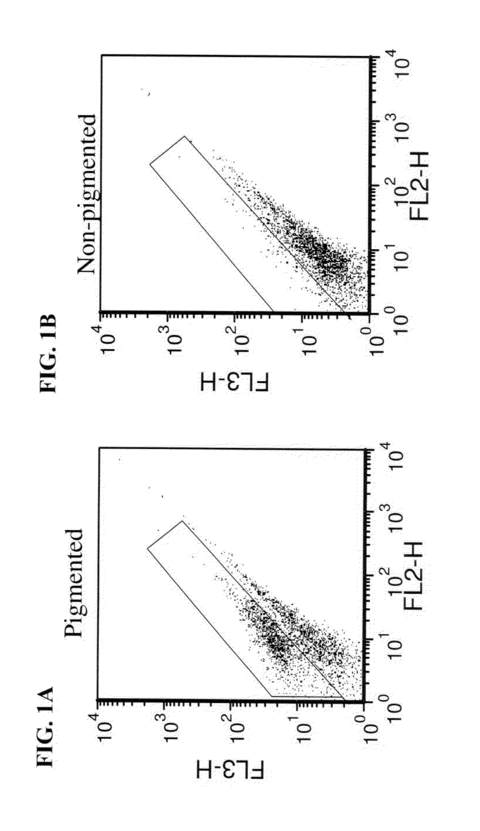 Methods of selecting retinal pigmented epithelial cells