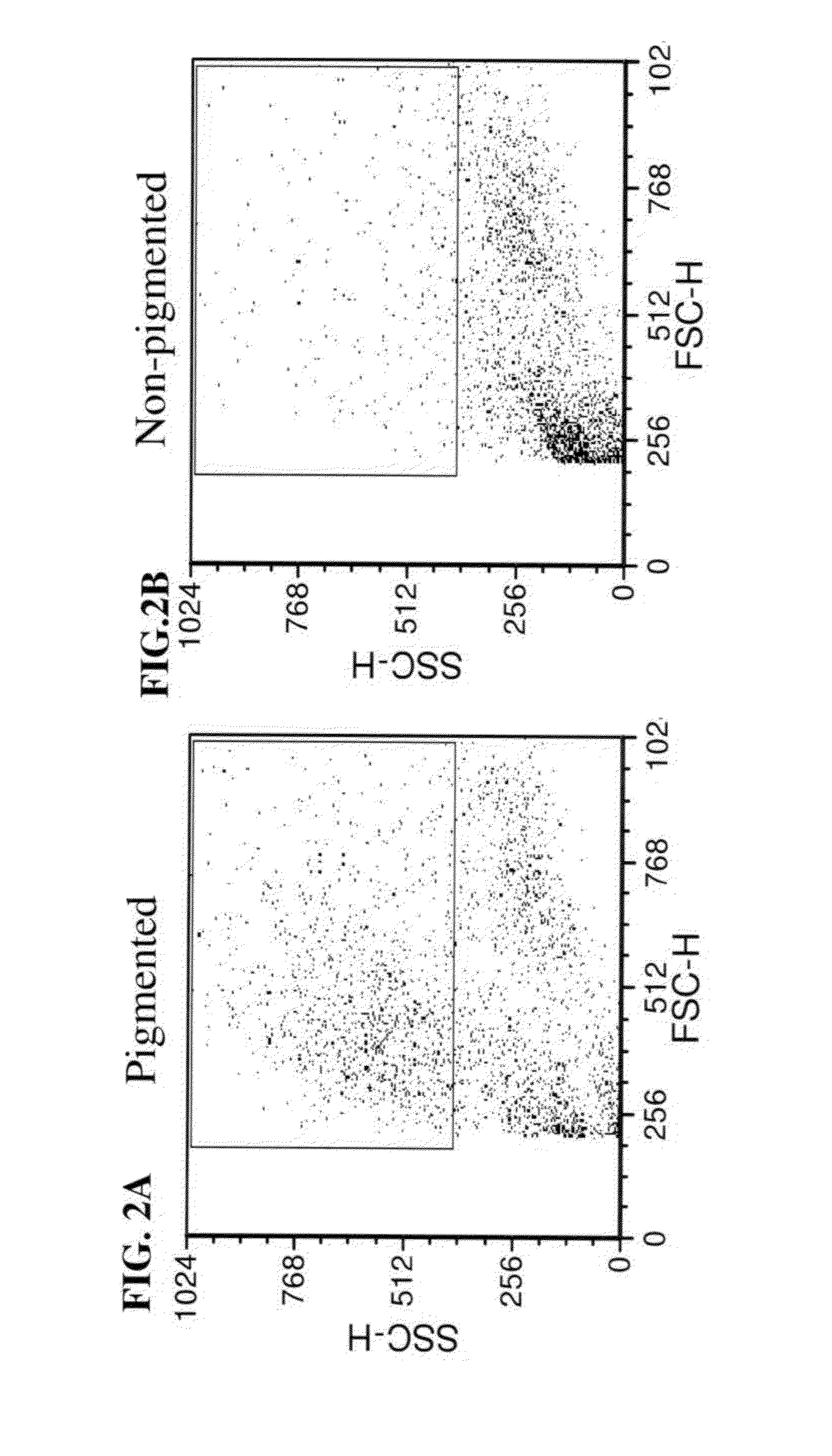 Methods of selecting retinal pigmented epithelial cells