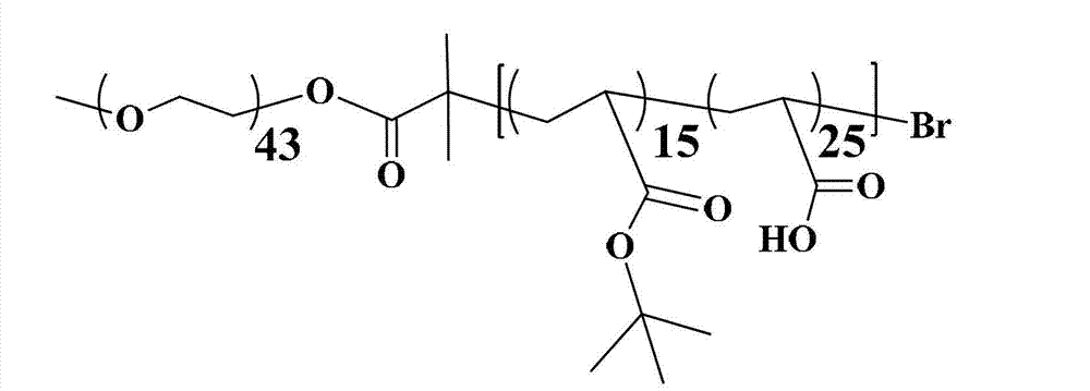 Polymer micelle modified by nano copper oxide and preparation method of polymer micelle