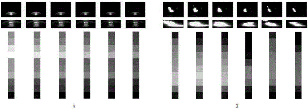 Flame identification algorithm of low-rank analysis