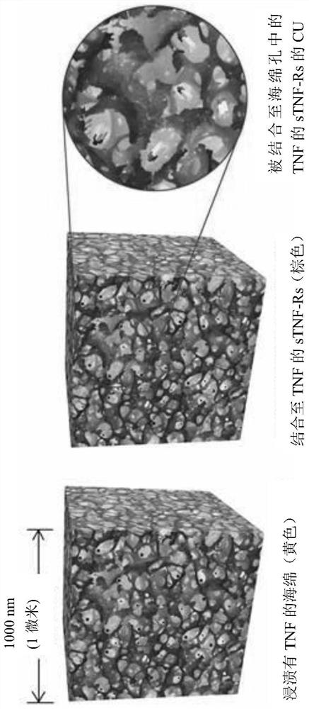 Compositions and methods related to cleaning particles