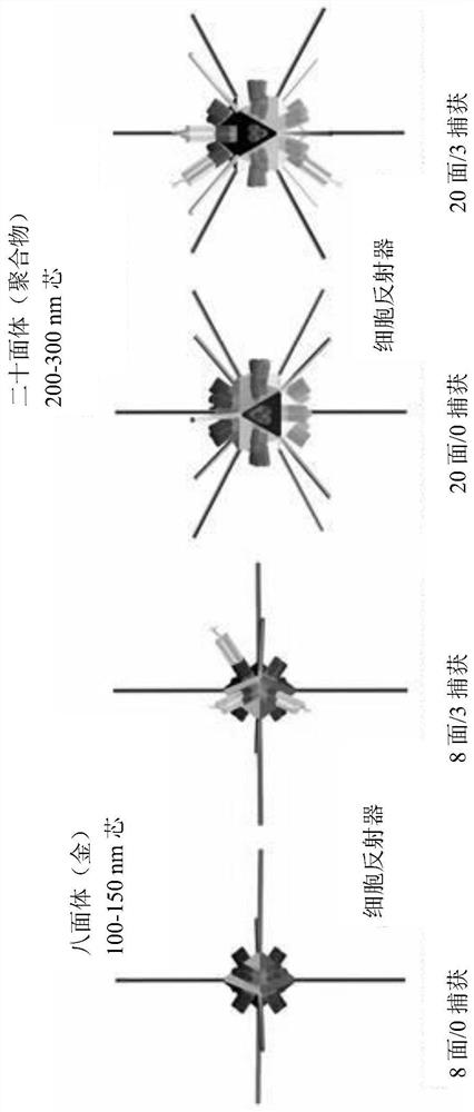 Compositions and methods related to cleaning particles