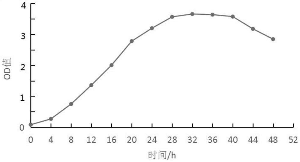 Bacillus amyloliquefaciens and influence of bacillus amyloliquefaciens on soil nutrient content and enzyme activity