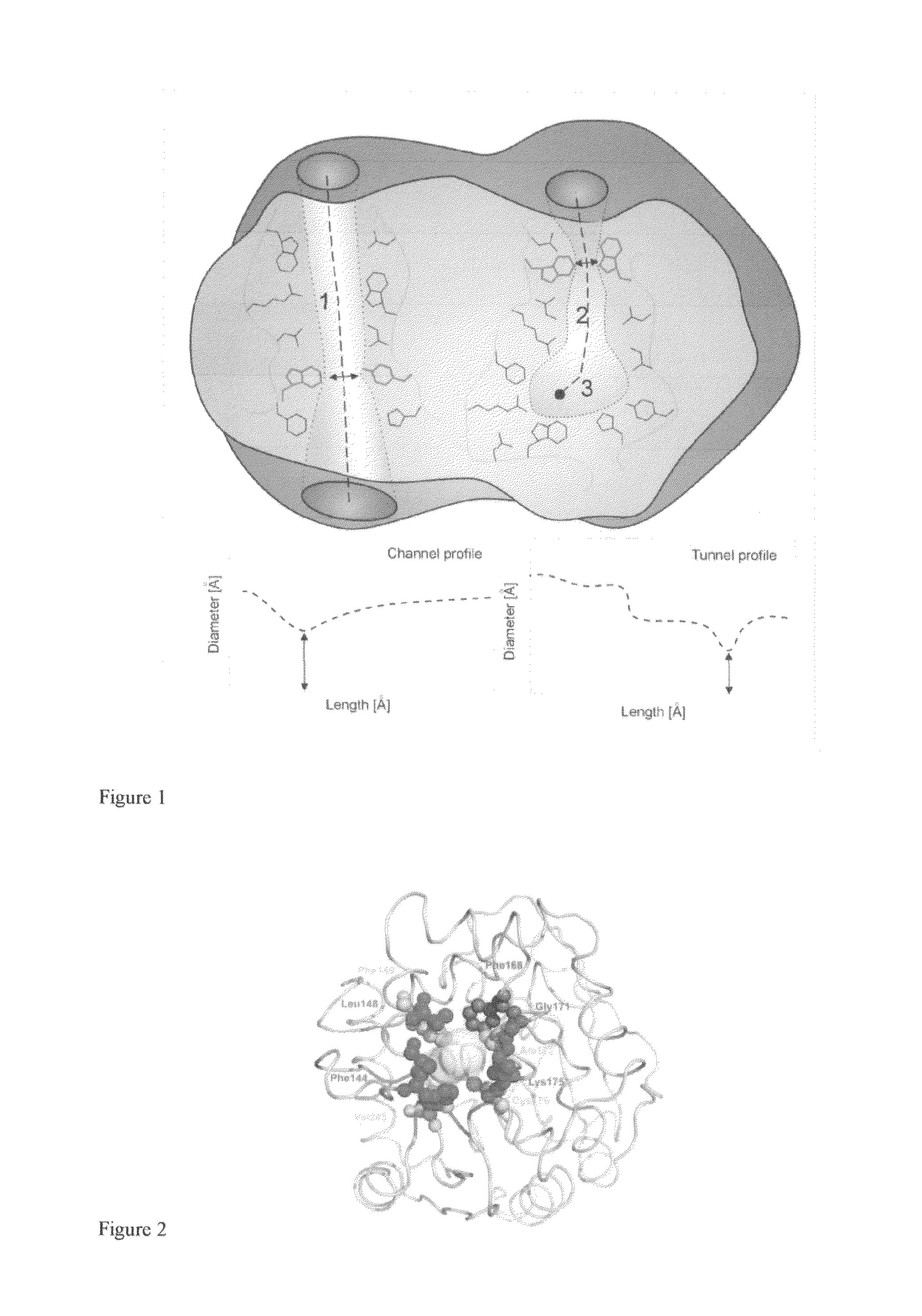 Method of thermostabilization of a protein and/or stabilization towards organic solvents