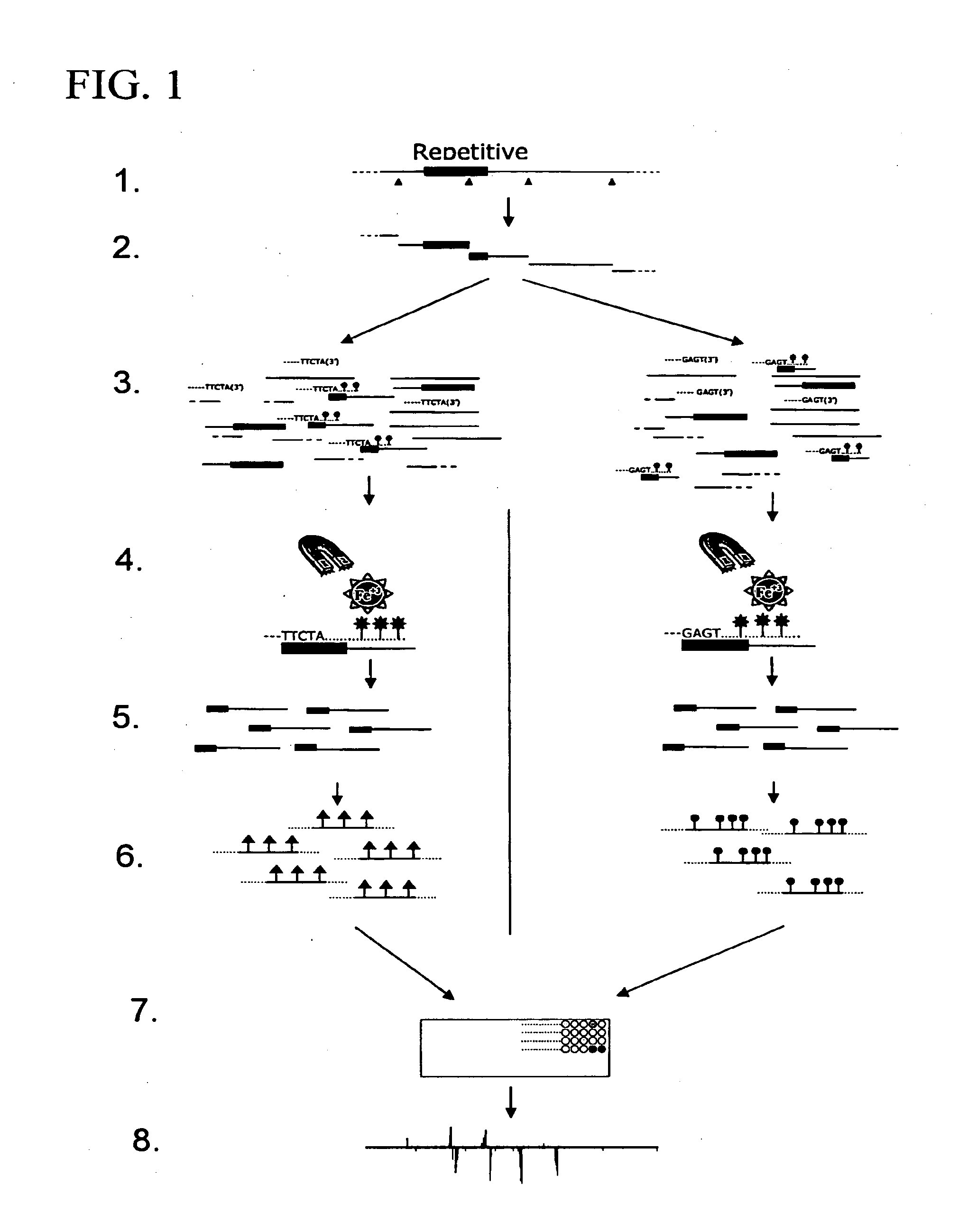 Method For Identification Of Novel Physical Linkage Of Genomic Sequences