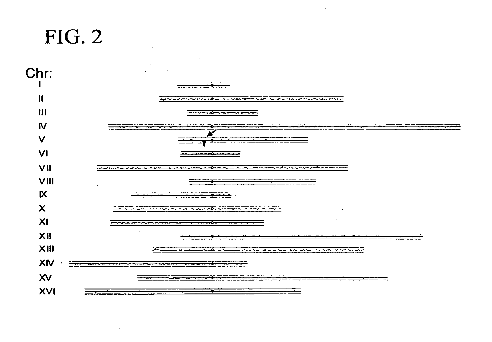 Method For Identification Of Novel Physical Linkage Of Genomic Sequences