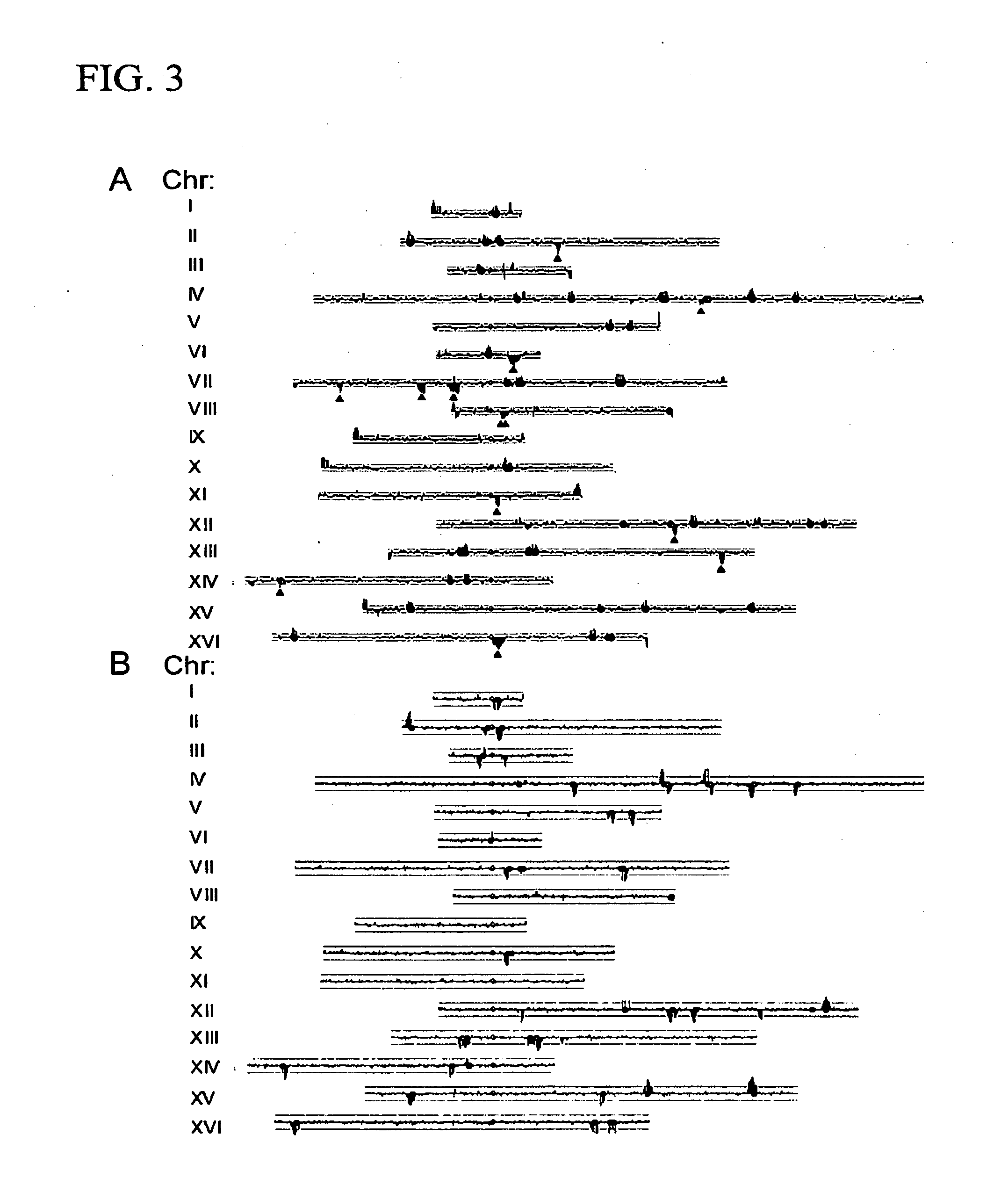 Method For Identification Of Novel Physical Linkage Of Genomic Sequences