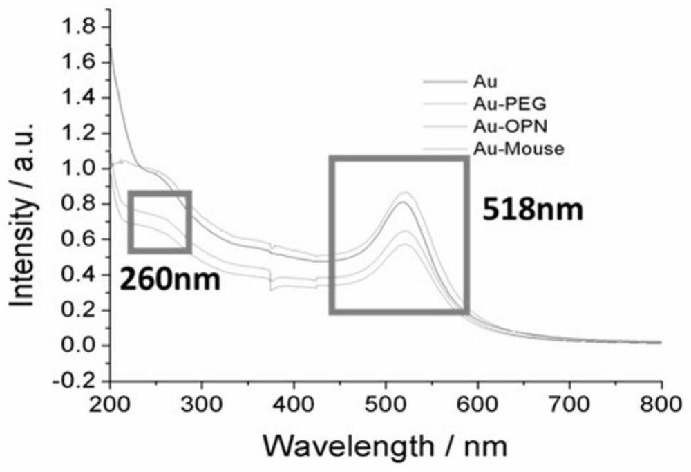 A nanoprobe for CT imaging of Kawasaki disease coronary artery disease and its preparation method and application