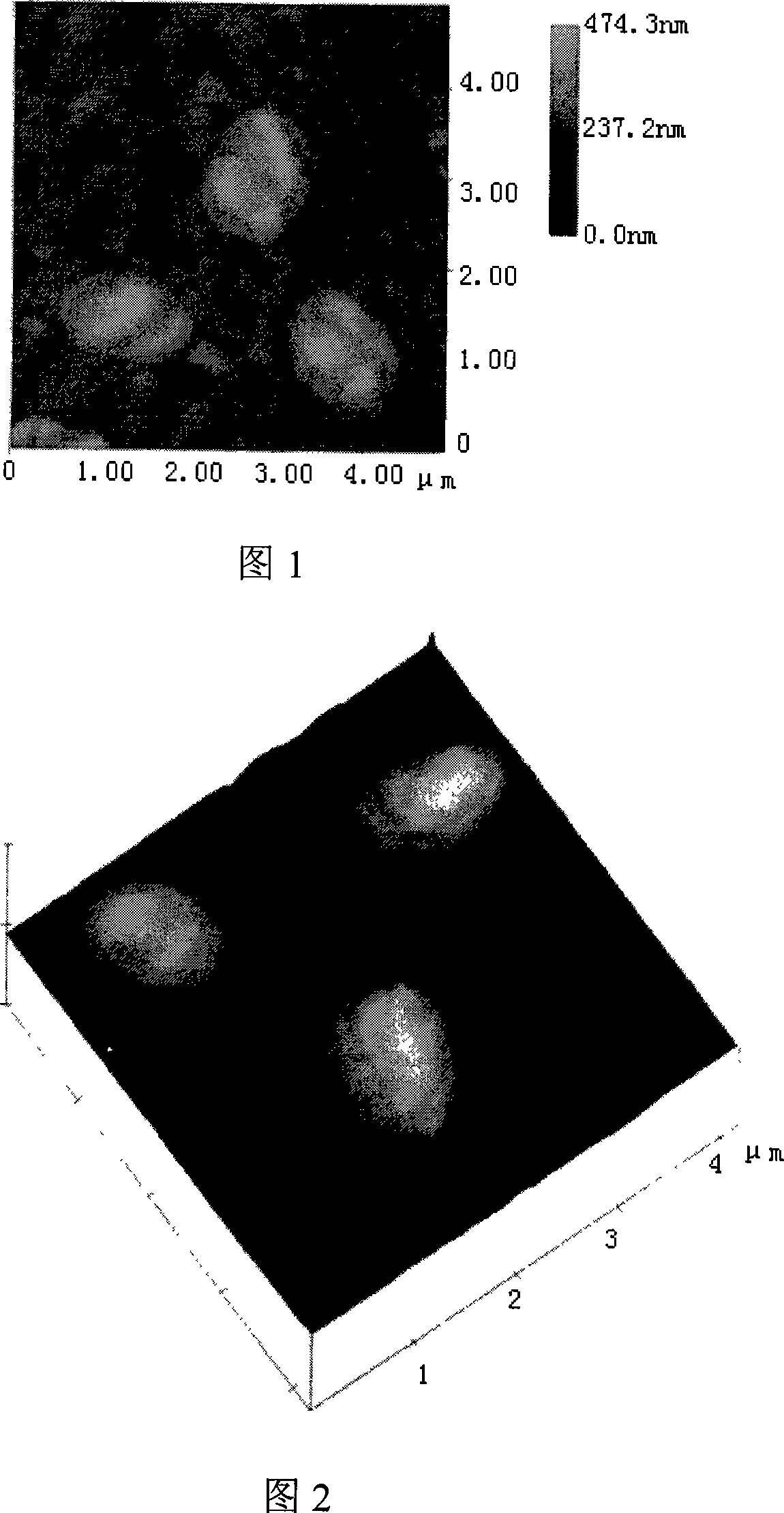 Biological deferrization demanganization functional bacterium