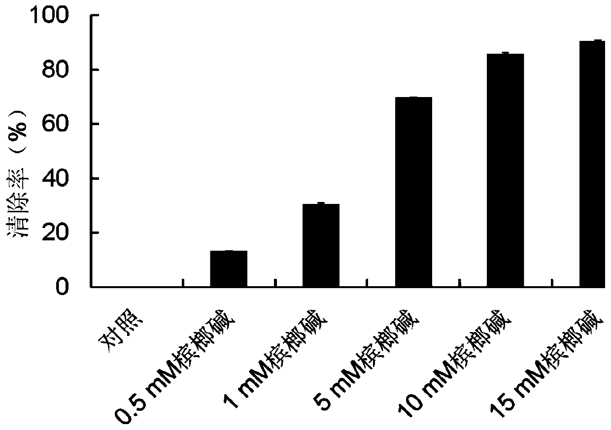 Antioxidant activity detection and compound application of plant-derived antioxidant