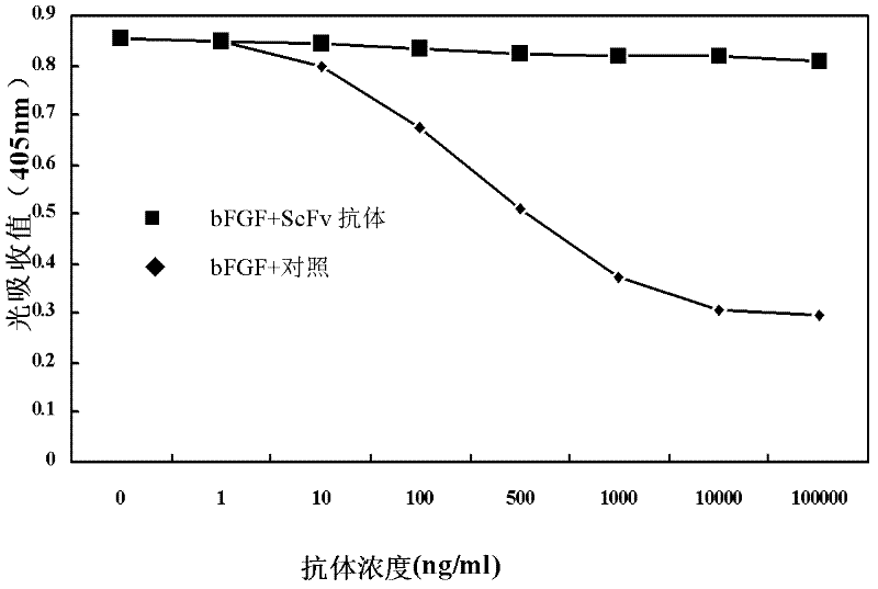 Anti to human alkaline fibroblast growth factor human s c F v antibody and application thereof