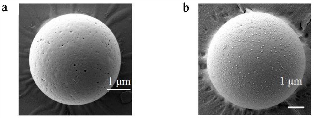 A DNA molecular detection method using 3D barcode