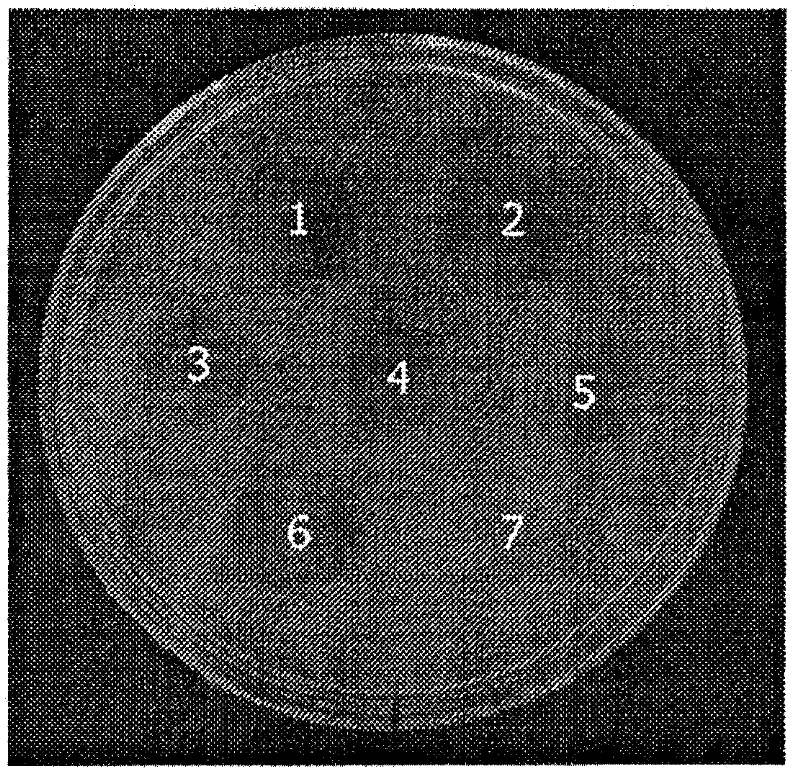 cDNA sequence coding fibrinolysin, amino acid sequence and applications of sequences