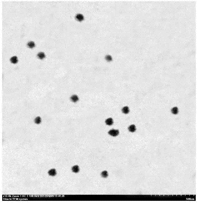 Preparation method and application method of double biological optical window targeted nanometer biological probe