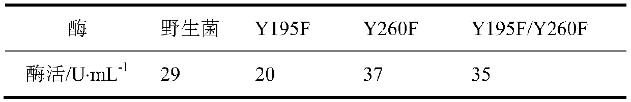 Cyclodextrin glucosyltransferase mutant with improved disproportionation specific activity and AA-2G yield