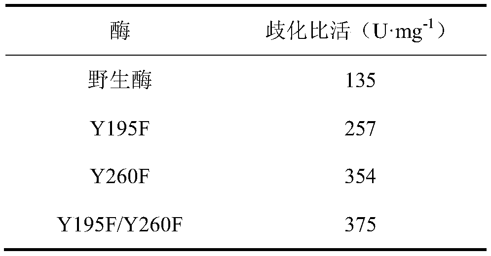 Cyclodextrin glucosyltransferase mutant with improved disproportionation specific activity and AA-2G yield