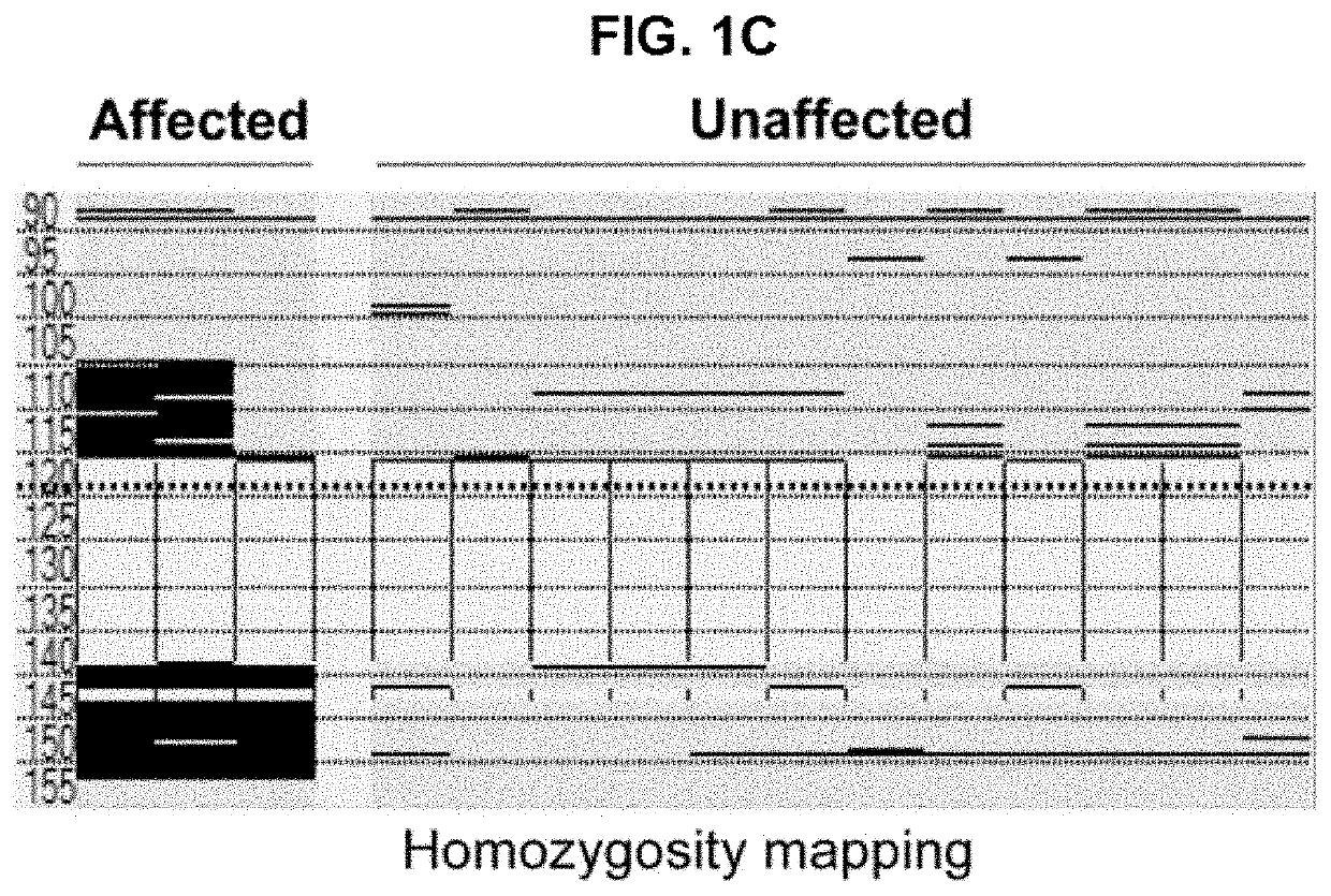 Method for treating pulmonary fibrosis using s100a3 protein