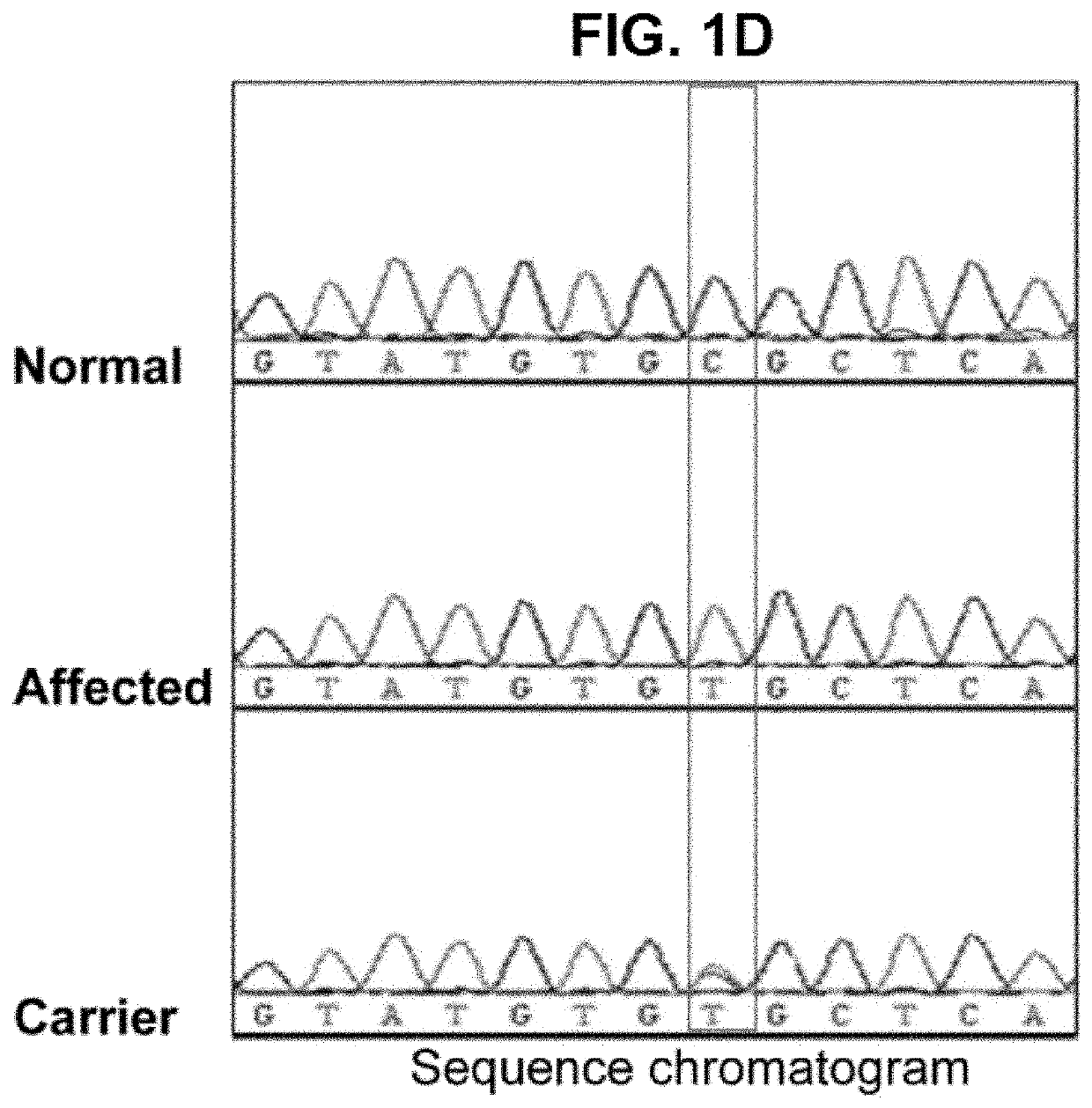 Method for treating pulmonary fibrosis using s100a3 protein