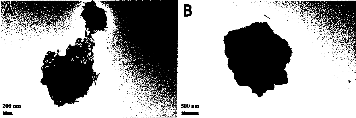 Composite silver nano-hydroxyapatite/alginate microspheres and preparation method thereof