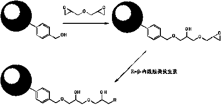 Beta-lactan antibiotic grafted polymer and application thereof