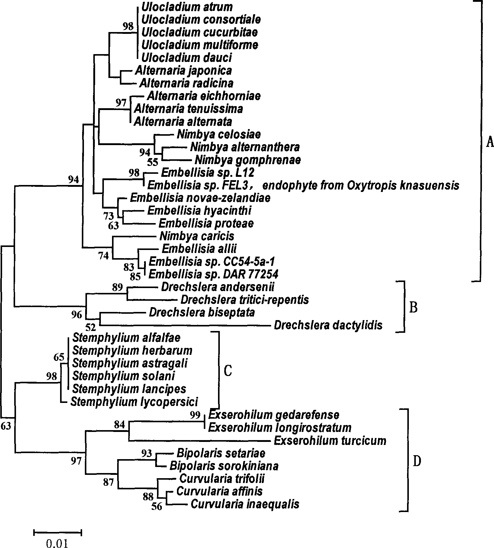 Method for separating endogenetic fungi producing spherosin