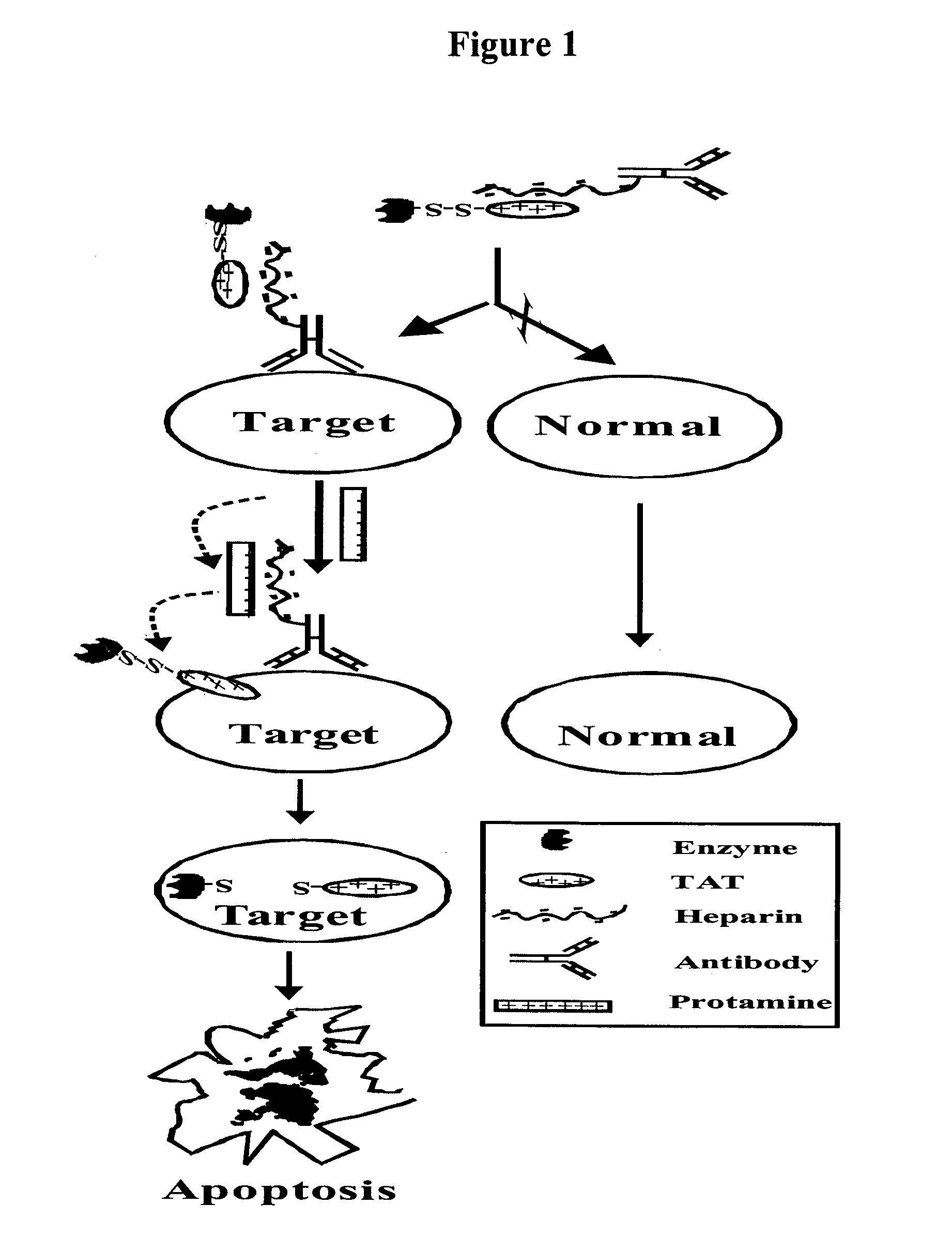 Drug delivery compositions