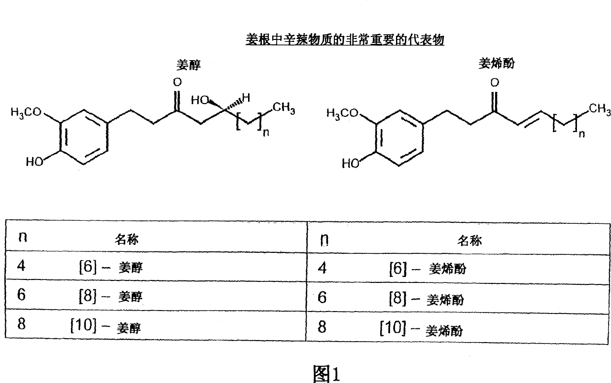 Ginger extract preparation