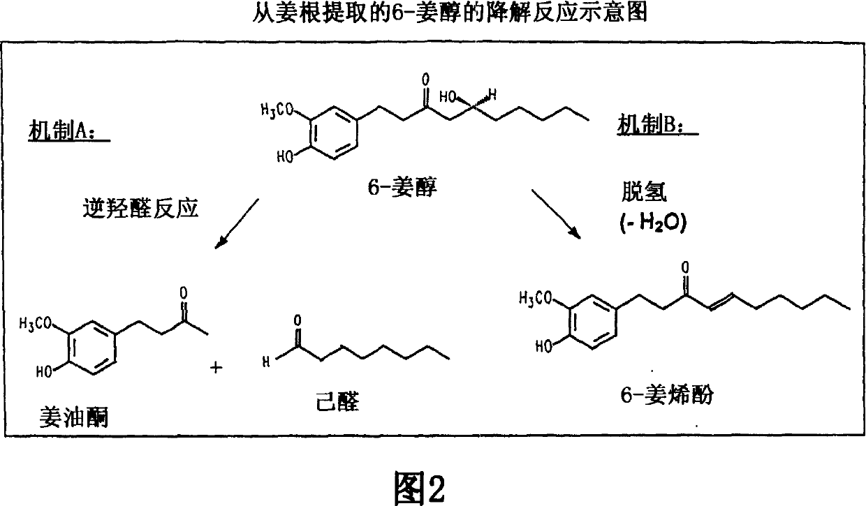 Ginger extract preparation