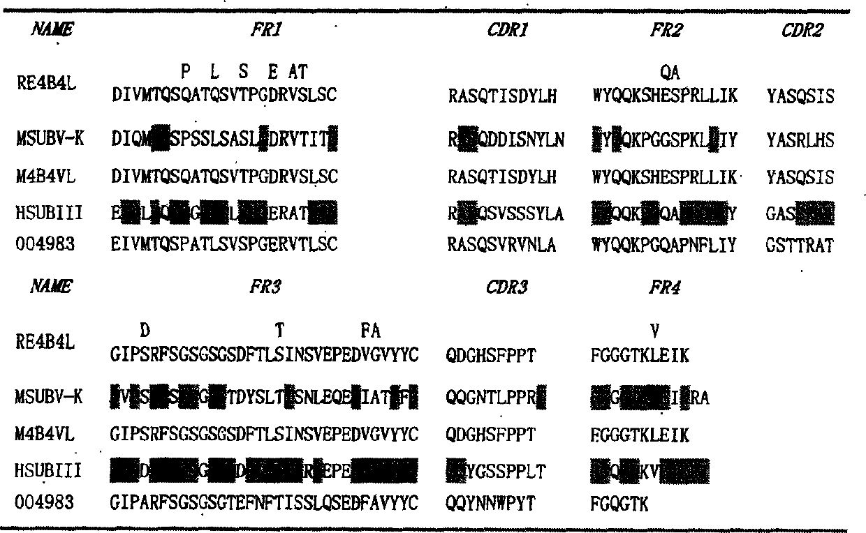 In vitro molecular directed evolution method for reshaping antibody