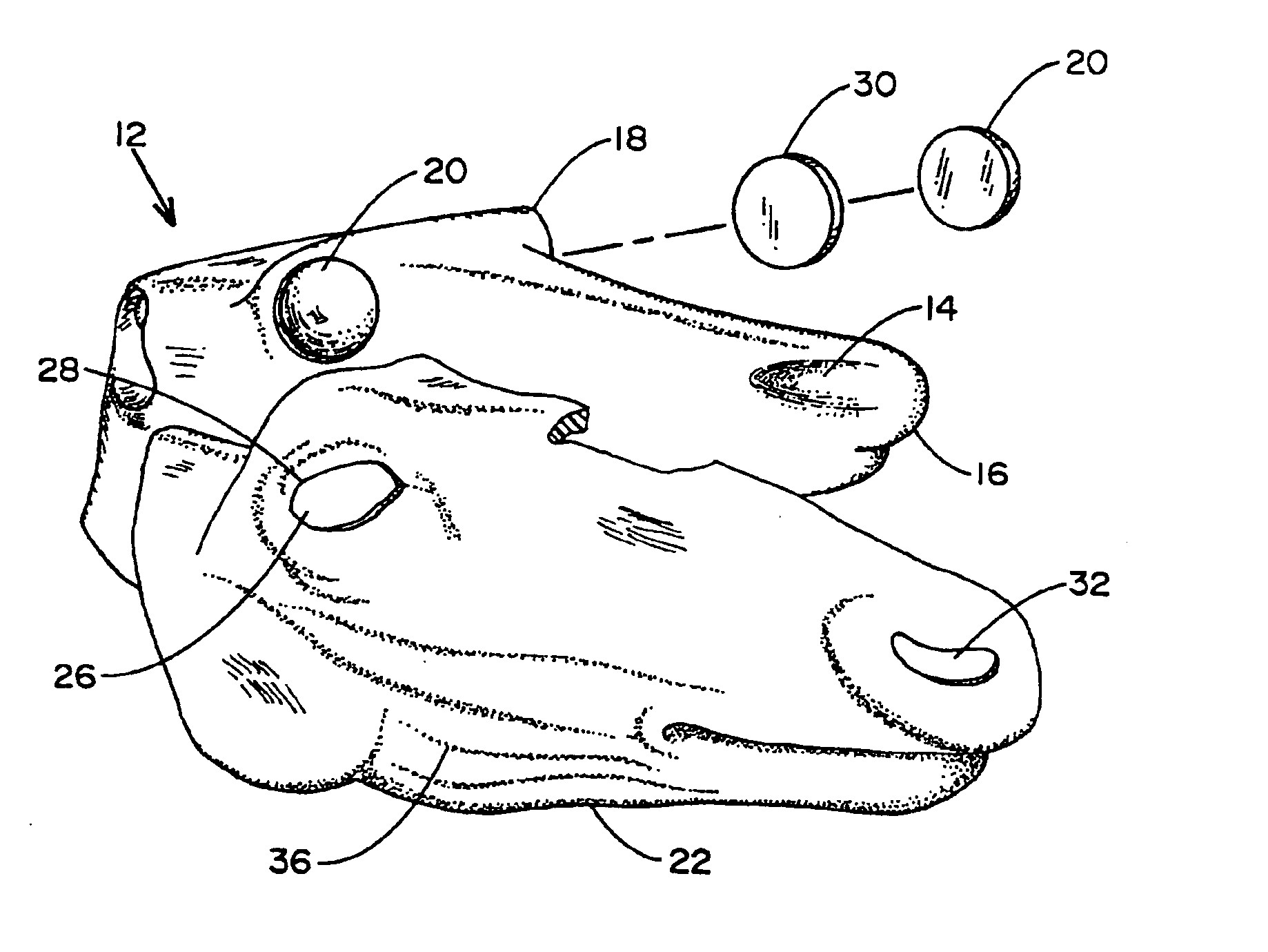 Taxidermy form and method