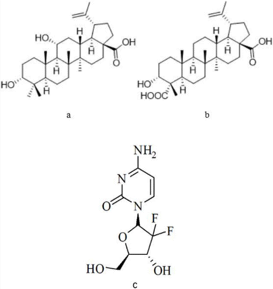 Drug composition for synergistically resisting pancreatic cancer