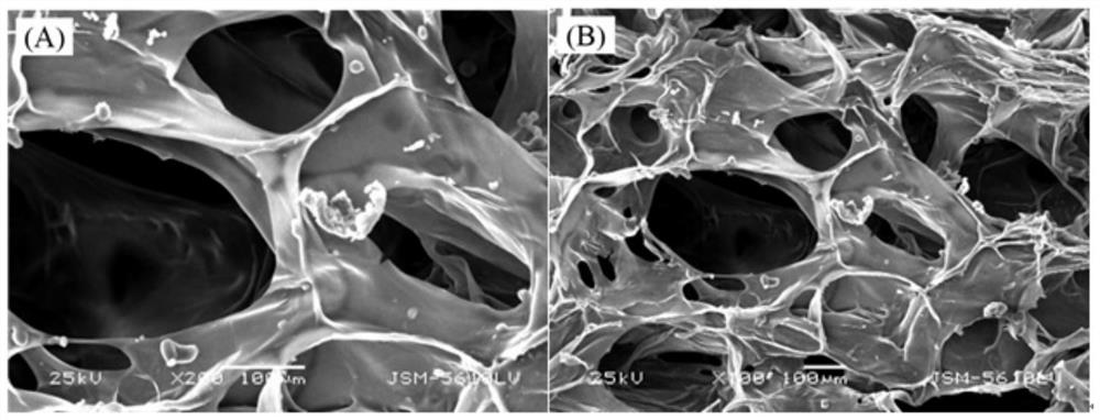 A kind of modified succinyl chitosan hydrogel and its preparation method and application