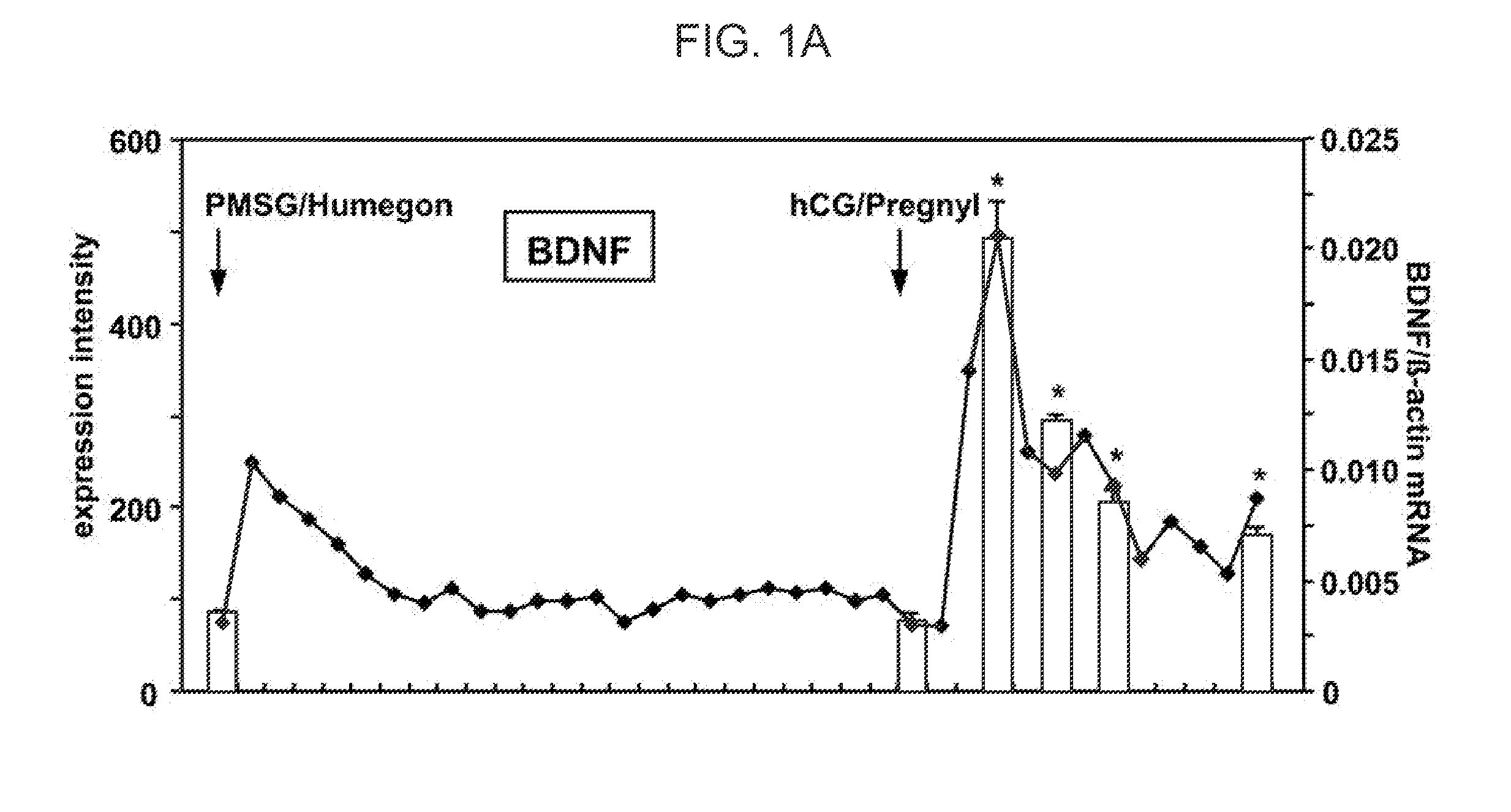 Facilitation of Oocyte, Zygote and Pre-Implantation Embryo Maturation