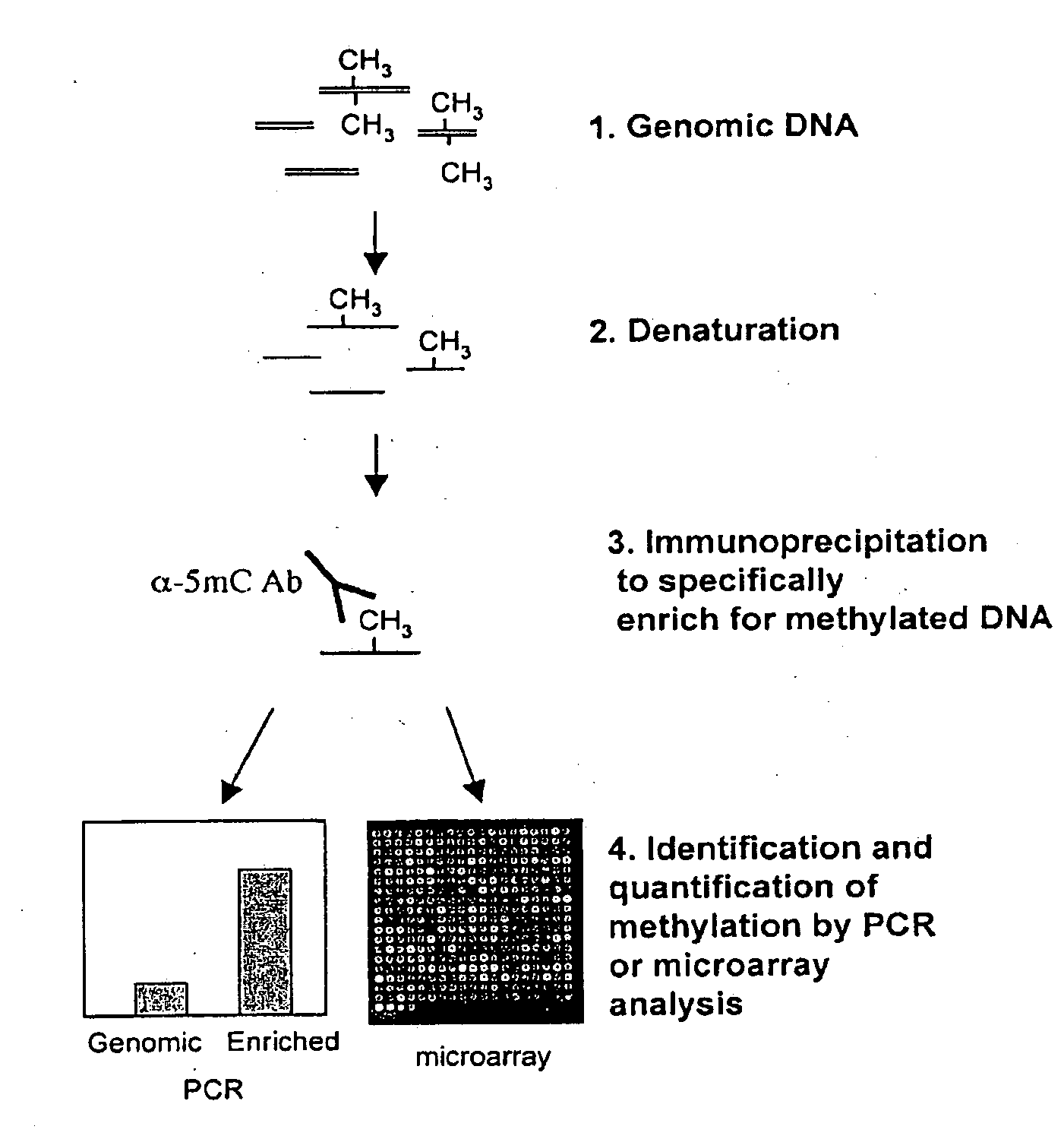 Analysis of methylated nucleic acid