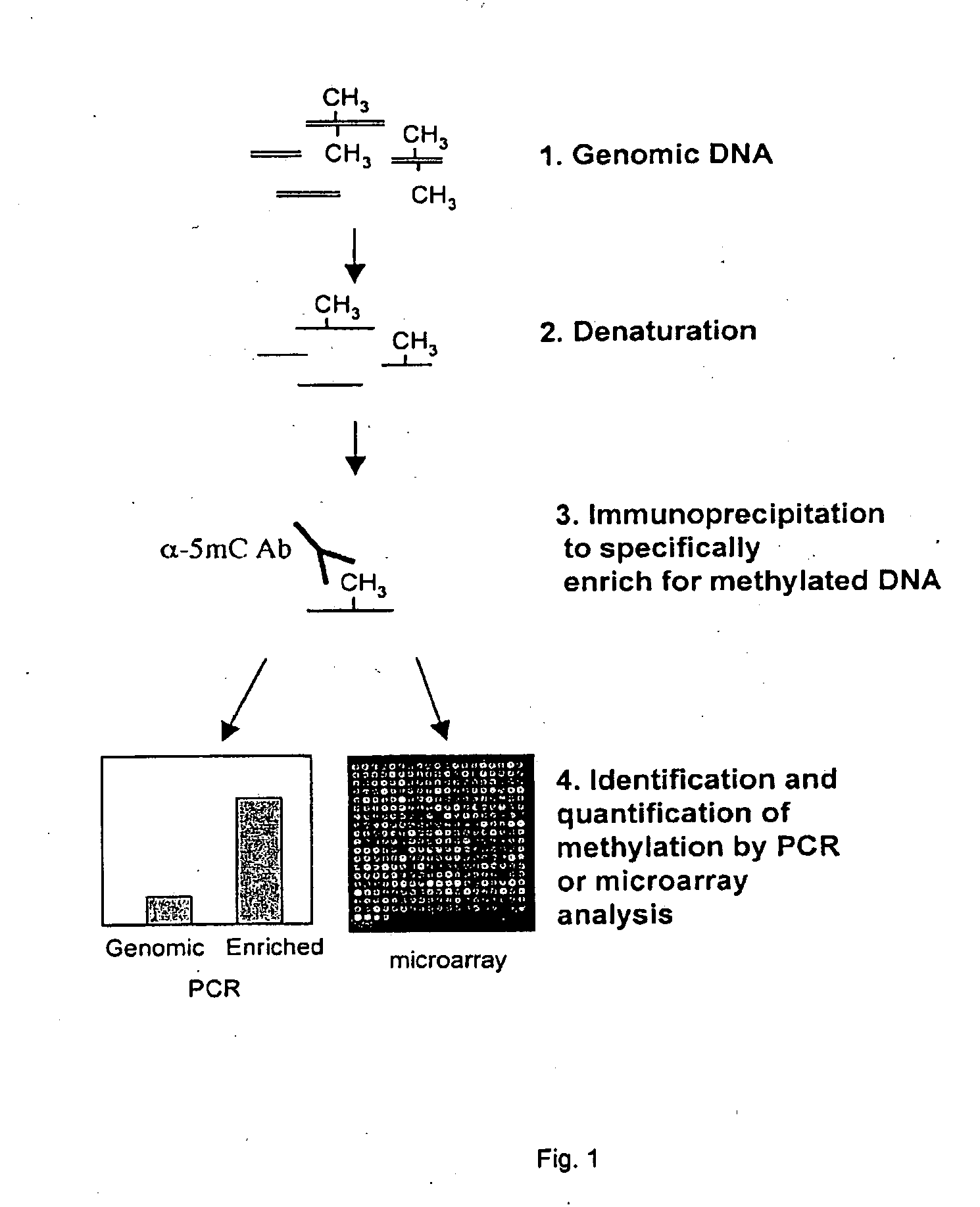 Analysis of methylated nucleic acid