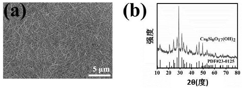 Active scaffold for multi-cell printing and nervating bone regeneration as well as preparation method and application of active scaffold