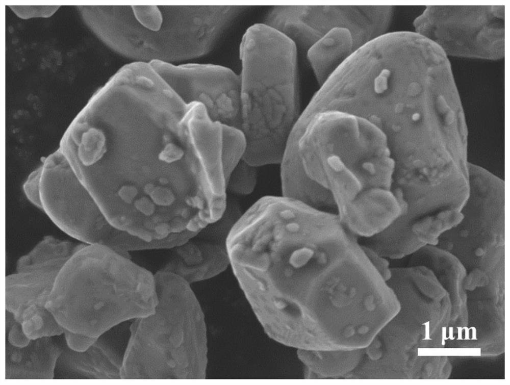 Quick-charge type cobalt-free high-nickel ternary concentration gradient core-shell structure lithium ion battery positive electrode material and preparation method thereof