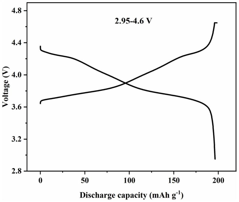 Quick-charge type cobalt-free high-nickel ternary concentration gradient core-shell structure lithium ion battery positive electrode material and preparation method thereof