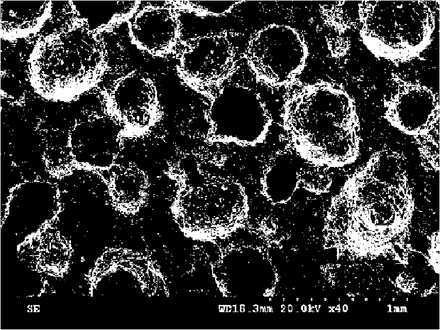 Nano-ceramic particle reinforced aluminum foam matrix composite material and preparation method thereof