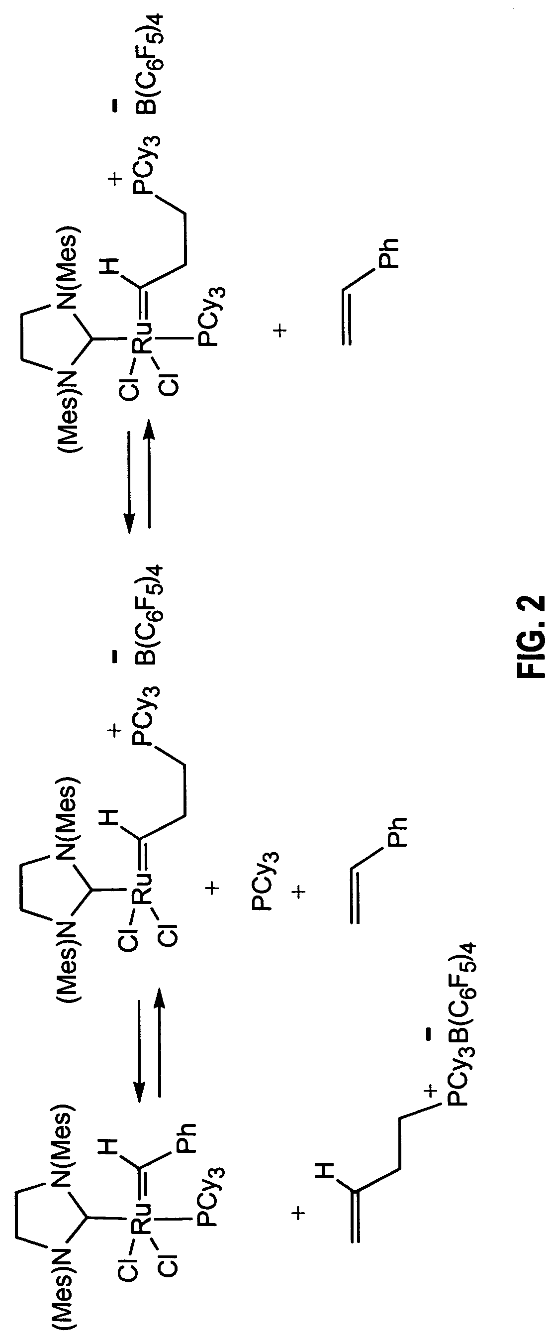 Transition metal carbene complexes containing a cationic substituent as catalysts of olefin metathesis reactions