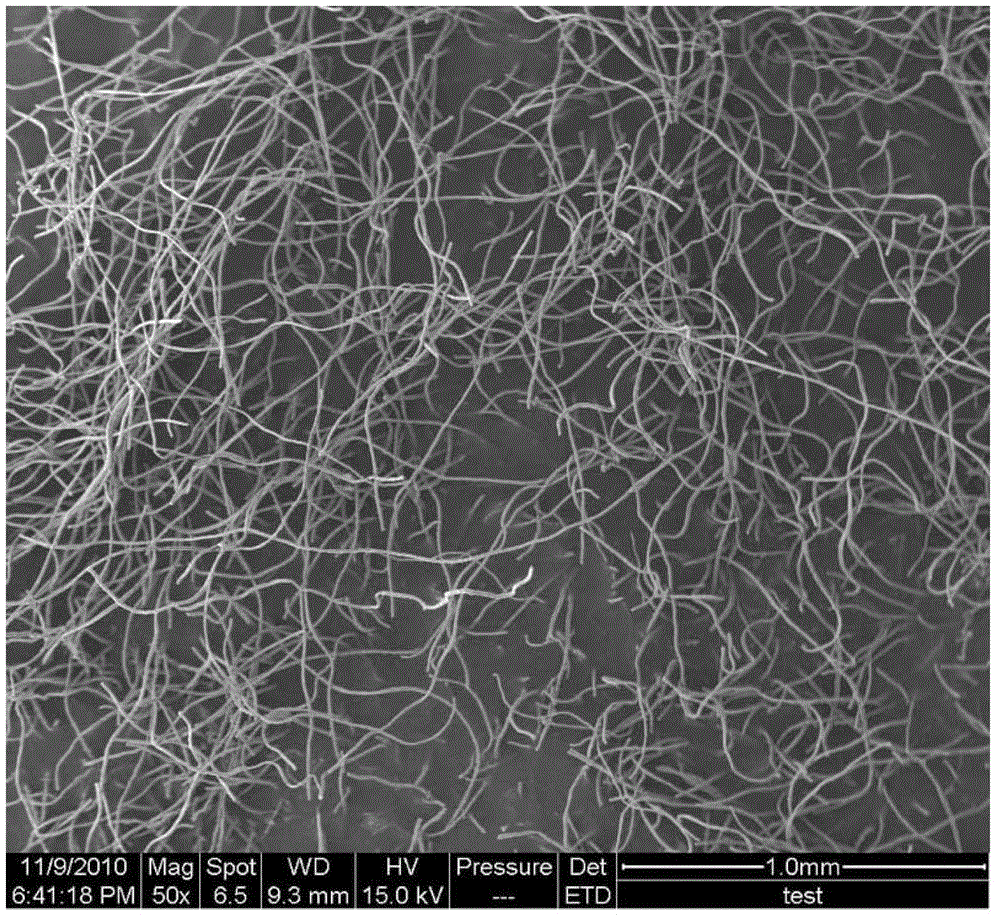 Method for preparation of super long fibrous titanium dioxide by taking cellulosic fibers as template